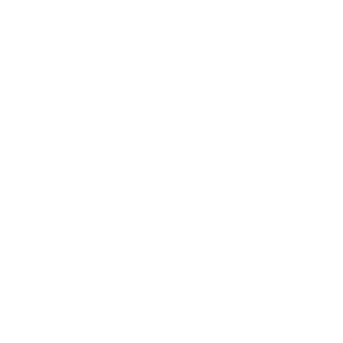 NT Media